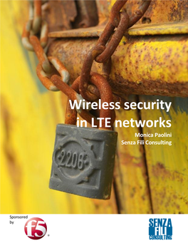 Wireless Security in LTE Networks Monica Paolini Senza Fili Consulting