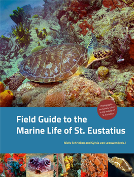 Field Guide to the Marine Life of St