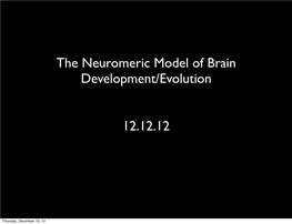 The Neuromeric Model of Brain Development/Evolution 12.12.12