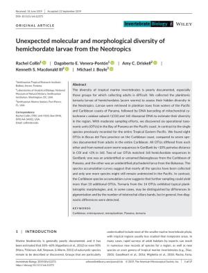 Unexpected Molecular and Morphological Diversity of Hemichordate Larvae from the Neotropics