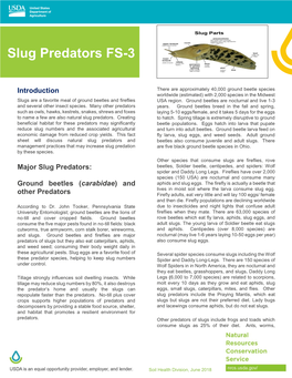 Slug Predators FS-3 Photo: Steve Gower, Michigan State University