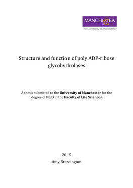 Structure and Function of Poly ADP-Ribose Glycohydrolases