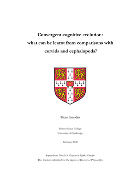 Convergent Cognitive Evolution: What Can Be Learnt from Comparisons with Corvids and Cephalopods?