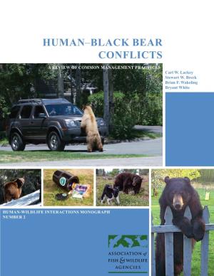 Human–Black Bear Conflicts