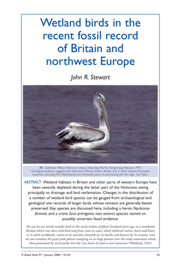 Wetland Birds in the Recent Fossil Record of Britain and Northwest Europe John R