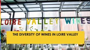 The Diversity of Wines in Loire Valley the Wine Producing Regions in France