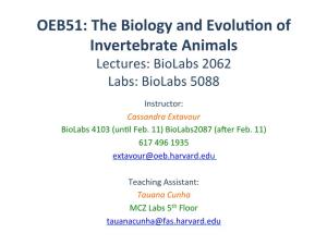 OEB51: the Biology and Evolu on of Invertebrate Animals