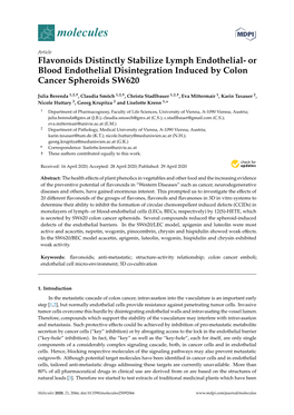 Or Blood Endothelial Disintegration Induced by Colon Cancer Spheroids SW620