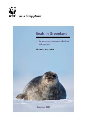Seals in Greenland