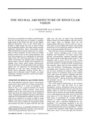 The Neural Architecture of Binocular Vision
