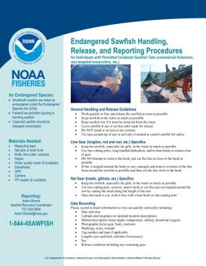 Endangered Sawfish Handling, Release, and Reporting