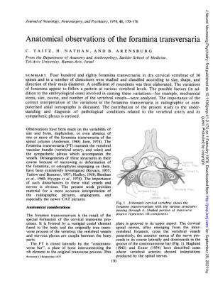 Anatomical Observations Ofthe Foramina Transversaria
