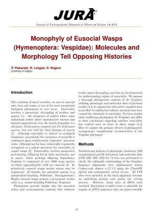 Monophyly of Eusocial Wasps (Hymenoptera: Vespidae): Molecules and Morphology Tell Opposing Histories
