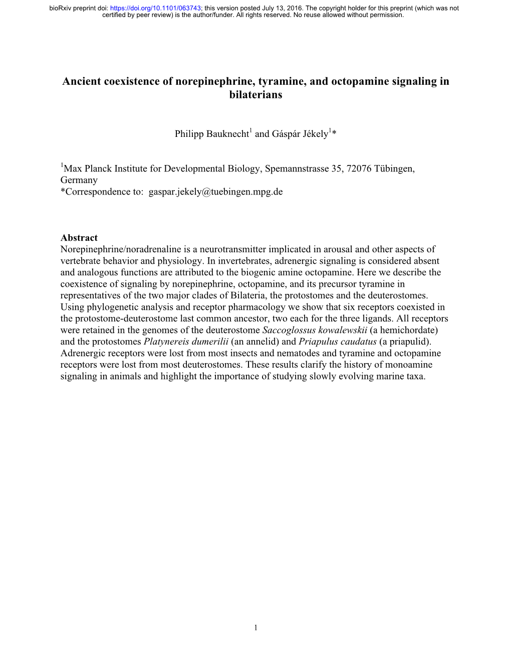 Ancient Coexistence of Norepinephrine, Tyramine, and Octopamine Signaling in Bilaterians