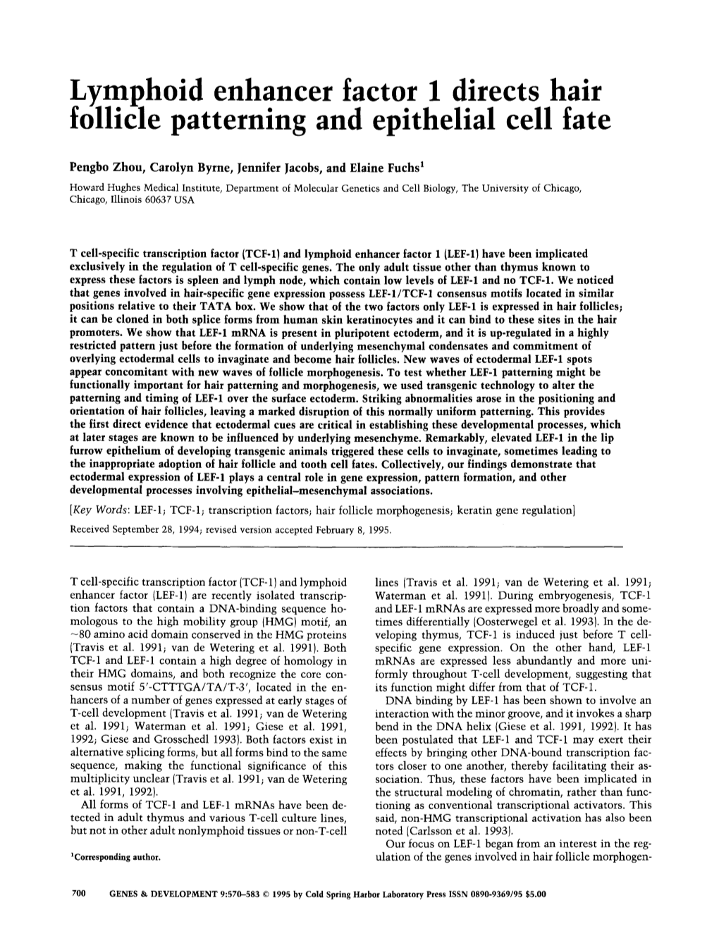 Lym. Phoid Enhancer Factor 1 Directs Hair Folhcle Patterning and Epithelial