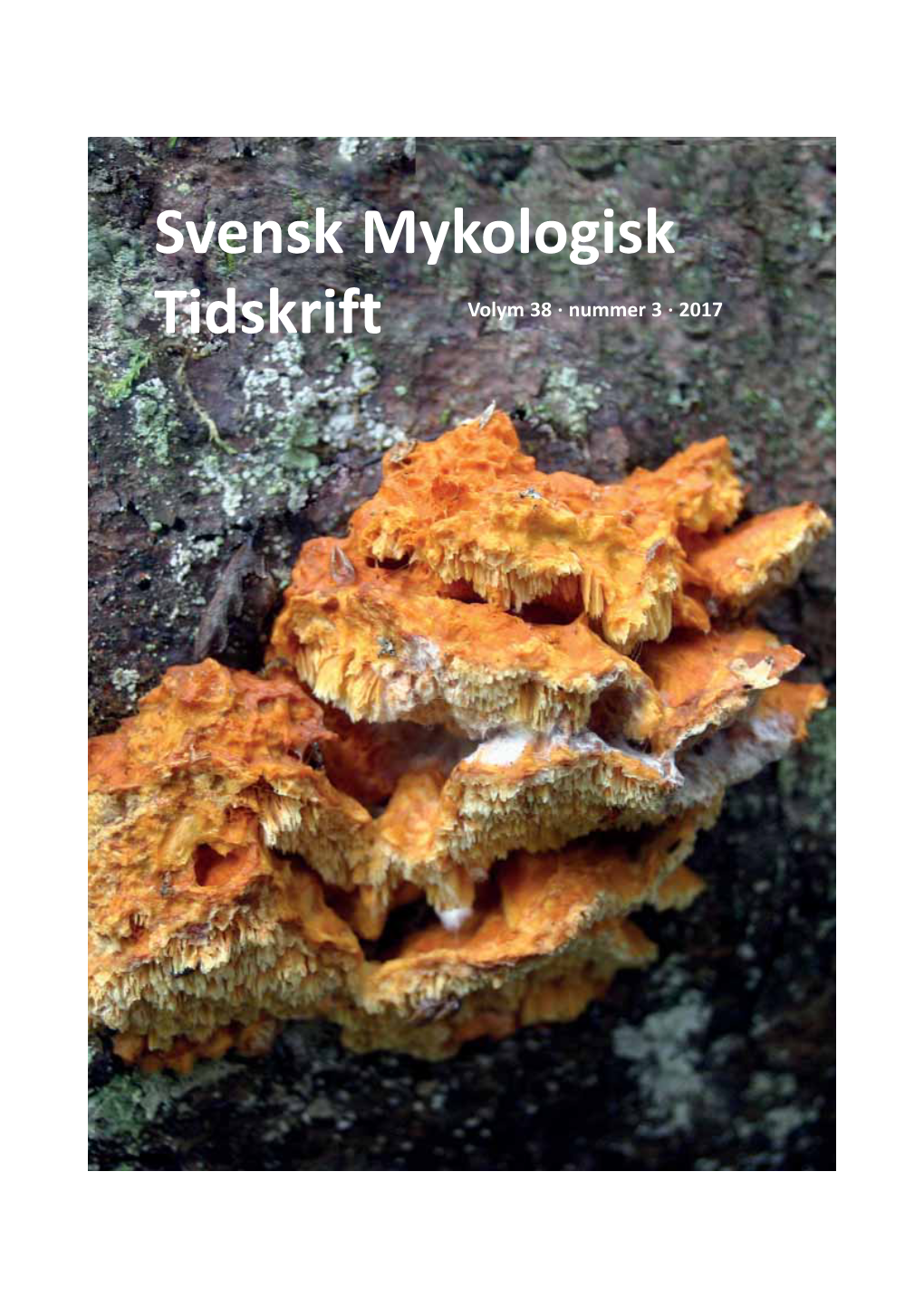 Entoloma-Arter Funna I Jämtland Och =-W�� Medelpad 2016 56 Ny Litteratur Tor Erik Brandrud, Egil Bendiksen, Mikael Jeppson Machiel E