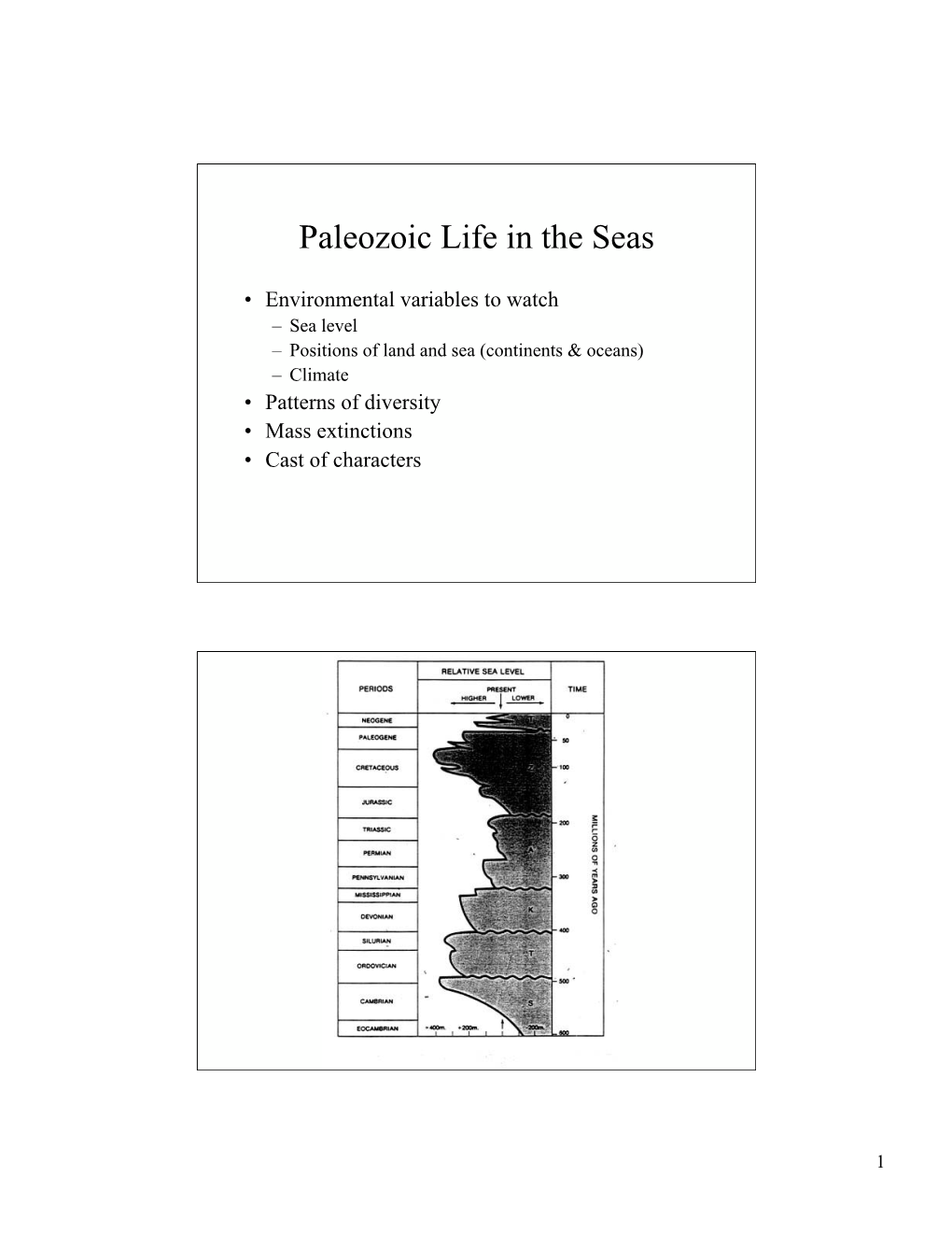 Paleozoic Life in the Seas