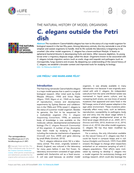 C. Elegans Outside the Petri Dish