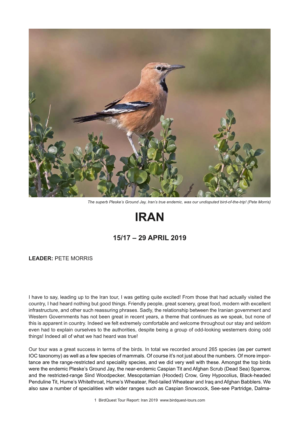 Iran Tour Report 2019