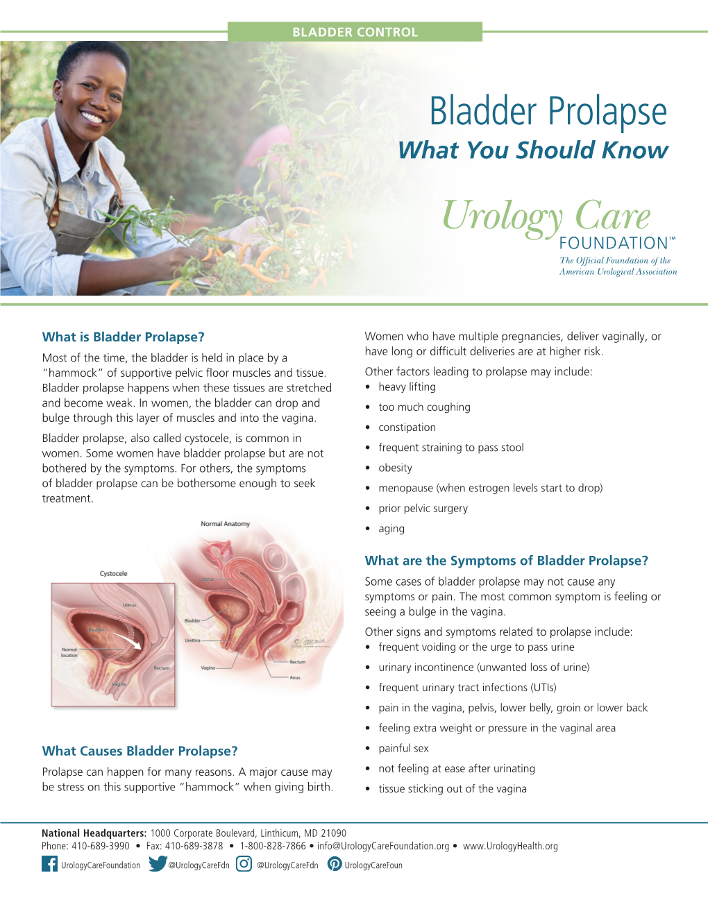 Bladder Prolapse What You Should Know