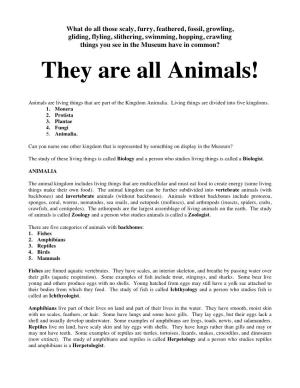 They Are All Animals!