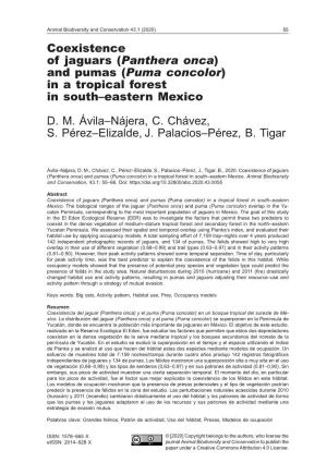 (Panthera Onca) and Pumas (Puma Concolor) in a Tropical Forest in South–Eastern Mexico