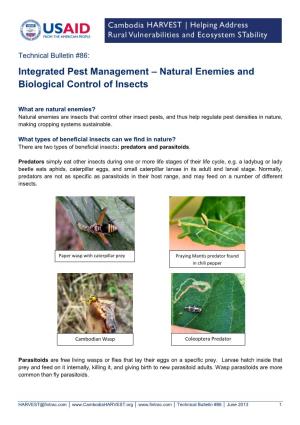Natural Enemies and Biological Control of Insects