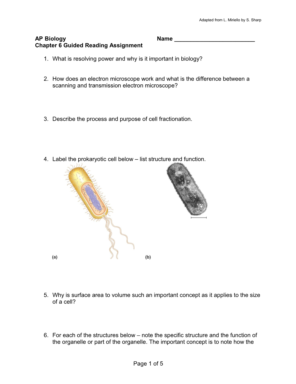 Adapted from L. Miriello by S. Sharp s3