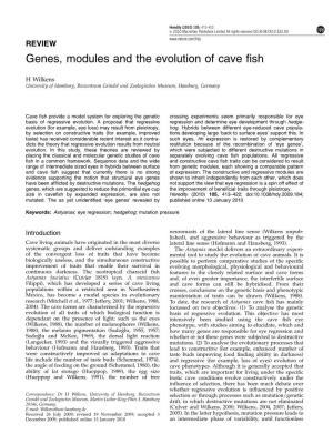 Genes, Modules and the Evolution of Cave Fish