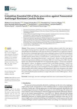 Colombian Essential Oil of Ruta Graveolens Against Nosocomial Antifungal Resistant Candida Strains