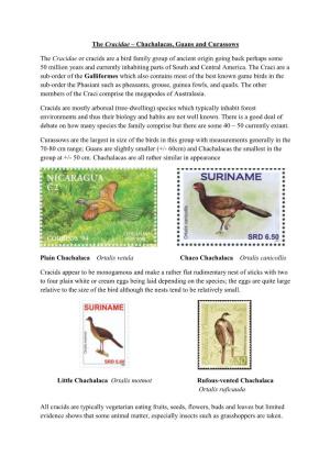 The Cracidae – Chachalacas, Guans and Curassows the Cracidae Or