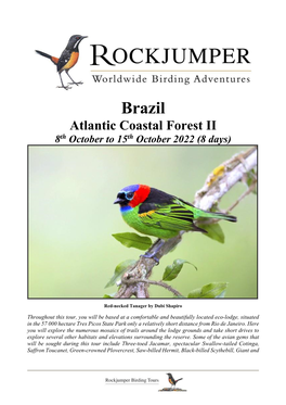Brazil Atlantic Coastal Forest II 8Th October to 15Th October 2022 (8 Days)