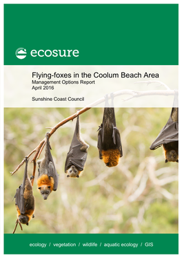 Flying-Foxes in the Coolum Beach Area Management Options Report April 2016