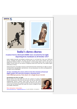India's Dawn Chorus