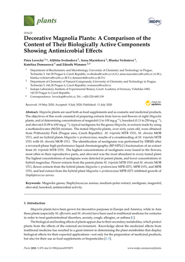 Decorative Magnolia Plants: a Comparison of the Content of Their Biologically Active Components Showing Antimicrobial Effects