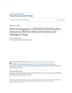 Intravital Imaging in a Zebrafish Model Elucidates Interactions Between Mucosal Immunity and Pathogenic Fungi Linda S