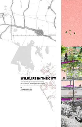 WILDLIFE in the CITY ADAPTING the URBAN FABRIC to MEDIATE the RELATIONSHIP BETWEEN ANIMALS and HUMANS by ANA CORDERO
