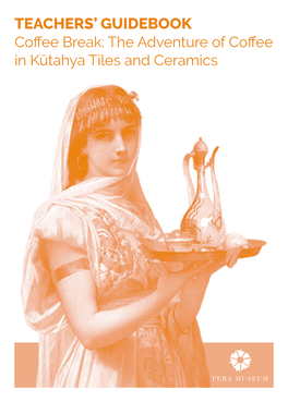Access the Teachers' Guide Book for the Kütahya Tiles