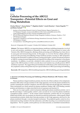 Cellular Processing of the ABCG2 Transporter—Potential Effects On