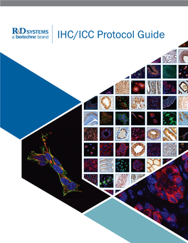 IHC/ICC Protocol Guide