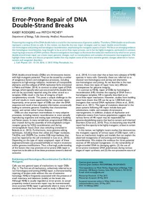 Error-Prone Repair of DNA Double-Strand Breaks
