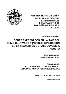 Universidad De Jaén Genes Expresados En La Raíz Del Olivo Cultivado Y Posible Implicación En La Transición De Fase Juvenil A