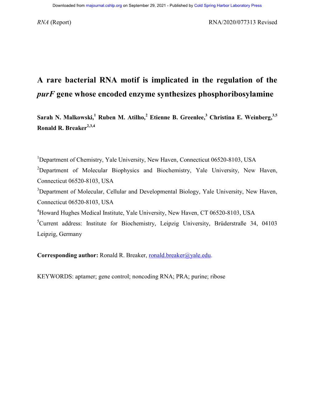 A Rare Bacterial RNA Motif Is Implicated in the Regulation of the Purf Gene Whose Encoded Enzyme Synthesizes Phosphoribosylamine