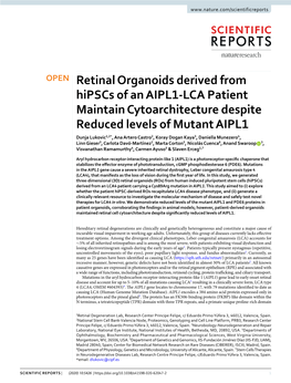 Retinal Organoids Derived from Hipscs of an AIPL1-LCA