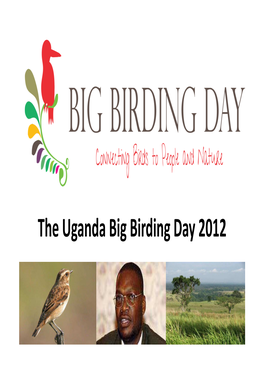 Big Birding Day 2012