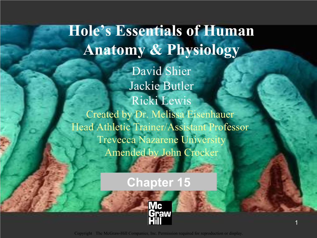 Hole's Essentials of Human Anatomy & Physiology