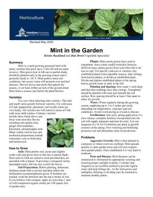 Mint in the Garden Kristie Buckland and Dan Drost Vegetable Specialist