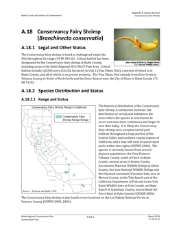 A.18 Conservancy Fairy Shrimp (Branchinecta Conservatio)