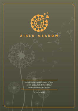 Aiken Meadow Brochure Final.Pdf