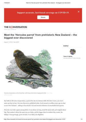 Meet the 'Hercules Parrot' from Prehistoric New Zealand – the Biggest Ever Discovered
